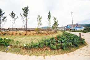 THE NEST ĐÀ LẠT - Image 5