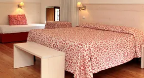 Albergo Ristorante Ai Pini - Image 2