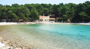 Villa Regina island Cres, 70m from the sea - Image 5