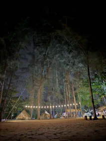 Koala Glamping Krabi - Image 4