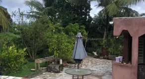 Butterfly Villa - Image 3