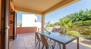 Bougainvillea - Image 5