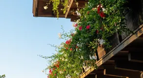 Gästehaus Nigglhof - Image 4
