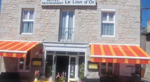 le lion d'or - Image 3