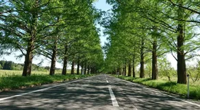 FarmStay INN 別館 三左衛門邸 Sanzaemontei 65m2 wide room - One group per day, one building available for exclusive use - Image 5