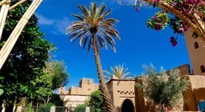 Riad Tabhirte - Image 3