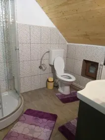 Casa de vacanta Denisa - Image 1