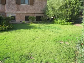 VILLA ULIVI - Image 4