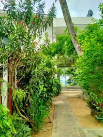Ocean Moon Resort - Image 4