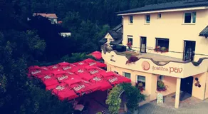 GOSTILNA S PRENOČIŠČI PAV - Image 5