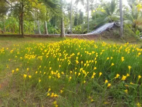 Mullai Farms - A Paradise Farm Stay near Pollachi - Image 5