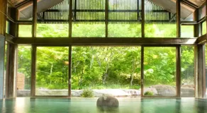 Tatehata House. Private Sauna. Outdoor Bath. - Image 4
