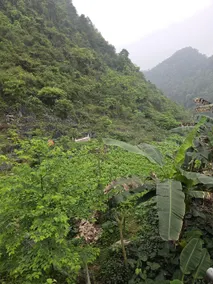 Yao Farmstay - Image 3