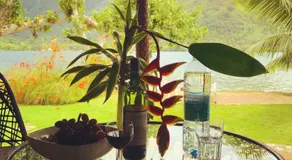 Robinson's Cove Villas - Image 3