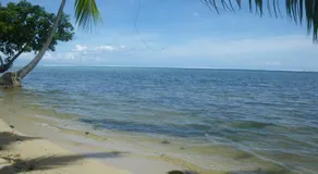 JUSTMOOREA Location Haapiti - Image 5