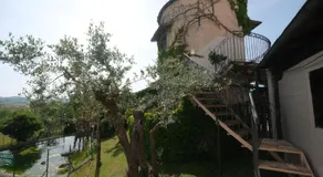 Agriturismo La Collinetta - Image 3