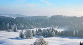Pension Mittelallgäu - Image 5