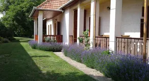 Nosztalgia Vendégház - Image 5