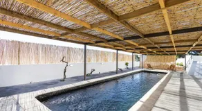 Finca Villa La Palmera, infinite views - Image 3