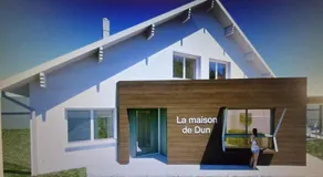 Cedre bleu - Image 4