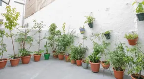 Apartamento Albaicín Granada - Image 5