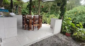 Mindoxtrem Birds - Image 5