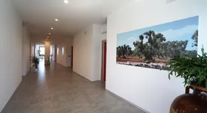Terra di Negroamaro - Image 5