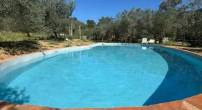 Agricampeggio Borgo Agna - Image 3