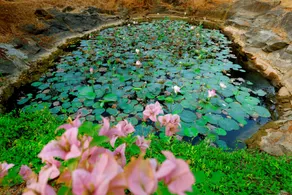 The Hidden Pearl Palakkad by Chakola’s Hospitality - Image 3