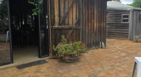 Whispering Vines - Image 3