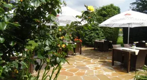 Landhotel-Restaurant Schwalbennest - Image 3