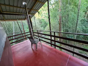 Deep Jungle Home - Image 5