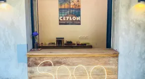 Coconut Reach - Image 3