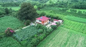 Guesthouse Kamelia - Image 4