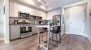 Luxury Apartment In Harbor Point - Image 4