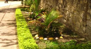 Hotel Tropico Real Mesitas - Image 5