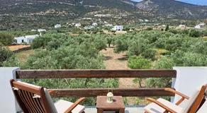 Madilides - Image 4