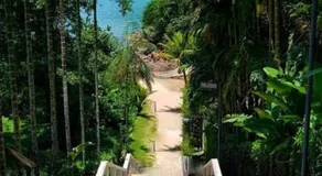 Casa Alma Zen - Hostel Boutique & Bistrô Ubatuba - Image 4