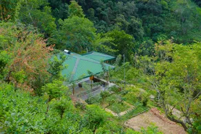 Artist Cottage - Image 5