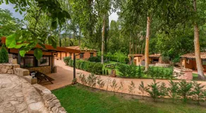 El Molino de la Pastora - Image 3