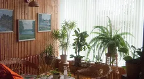 Eha Suija Home Accommodation - Image 2