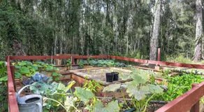 Cozy Coastal Retreat in Jervis Bay - Image 5