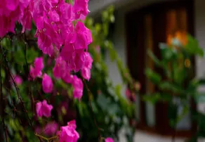 Dahanu Villas - Image 3