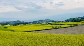 and farmクラインガルテン - Image 5