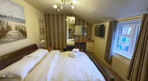 The White Swan - Image 2