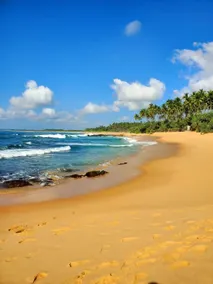 Perfect Escape For Sea & Nature Lovers - Image 3