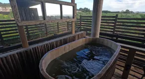 Esfera Pichilemu - Lodge - Image 5