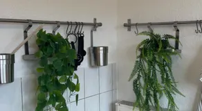 schöne 3 Zimmerwohnung Altbau, hochschulnah - Image 5