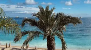 MONTE CARLO BORDER - exclusive & modern flat - Image 4