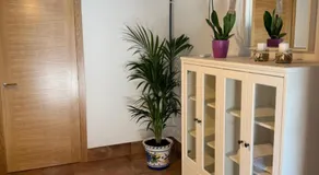 Primavera - Image 4